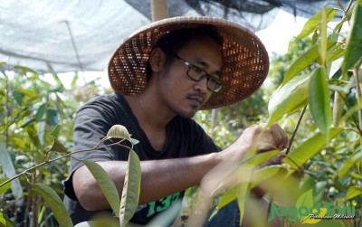 uploads/news/2020/11/sukses-menanam-durian-bagi-44806bf3c5911e5_400.JPG