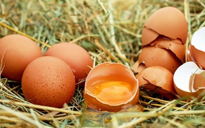 uploads/news/2020/12/alasan-harga-telur-menjadi-2005437f5e79f8f_400.jpg
