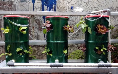 uploads/news/2020/12/berkebun-dengan-vertikultur-babe--505940b069dd2ca_400.jpg