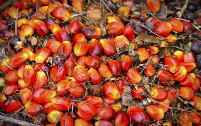 uploads/news/2020/12/hand-sanitizer-dari-kelapa-6023213e66d4745_400.jpg