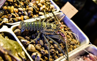 uploads/news/2020/12/lobster-seafood-bernilai-ekonomi-255197c32326f3c_400.jpg