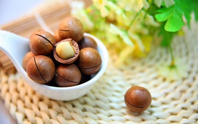 uploads/news/2020/12/macadamia-kacang-termahal-di-8463409debdfc40_400.jpg