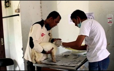 uploads/news/2021/01/bantuan-untuk-kucing-korban-51767a327d2ce35_400.jpg