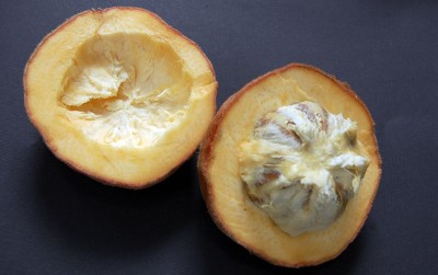 uploads/news/2021/01/bisbul-buah-berbulu-kaya-14357901e45b2df_400.jpg