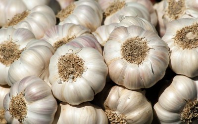 uploads/news/2021/01/cara-meningkatkan-produktivitas-bawang-18639246fde5378_400.jpg