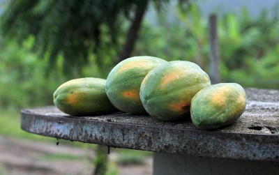 uploads/news/2021/01/cara-mudah-menghilangkan-getah-926855e7edddf81_400.jpg