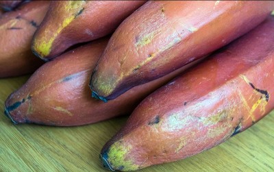 uploads/news/2021/01/khasiat-membara-pisang-merah-73057dbad2ce1fb_400.jpg