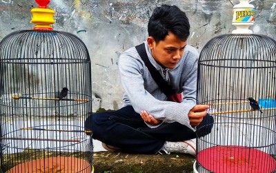 uploads/news/2021/01/konin-si-gacor-penghisap-979453c8d99d5a1_400.jpg