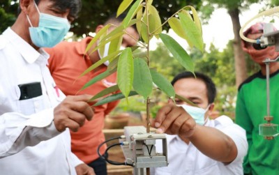 uploads/news/2021/01/melihat-kinerja-mesin-grafting-1646218486b0e4b_400.jpg