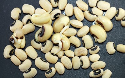 uploads/news/2021/01/menanti-tempe-dari-kacang-5901393fbc5df2f_400.jpg