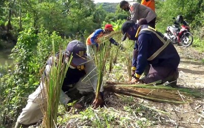 uploads/news/2021/01/mencegah-abrasi-dengan-akar-19128a776d82634_400.jpg