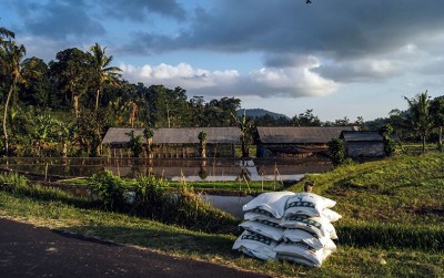 uploads/news/2021/01/perlukah-petani-mendapatkan-subsidi-40443b43c2e4e90_400.jpg
