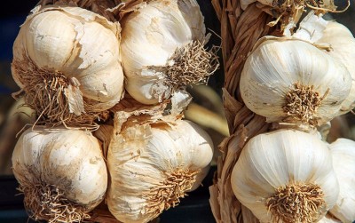 uploads/news/2021/01/teknologi-mengembalikan-kejayaan-bawang-9454253960c6da1_400.jpg