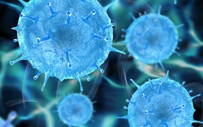 uploads/news/2021/01/waspada-zoonosis-mengintai-kesehatan-31778d45d7d66d6_400.jpg