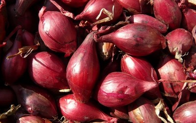 uploads/news/2021/02/agar-bawang-merah-tidak-43404159f4f5ee6_400.jpg