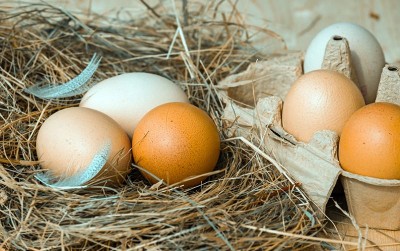 uploads/news/2021/02/benarkah-makan-telur-menyebabkan-12266c6ba9ebcdc_400.jpg