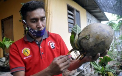 uploads/news/2021/02/bonsai-perawatan-mudah-hasil-223137daf732fe5_400.JPG