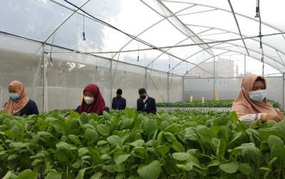 uploads/news/2021/02/kisah-para-santri-menanam-560347074c3453a_400.jpg