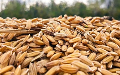uploads/news/2021/02/primadona-baru-di-food-1328222ff5a2113_400.jpg