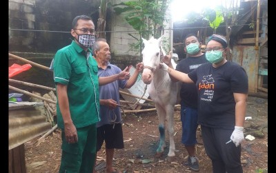 uploads/news/2021/02/program-peduli-kuda-jakarta-8218106afee1a97_400.jpg