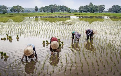 uploads/news/2021/03/indonesia-darurat-lahan-pangan-319984307eb69b2_400.jpg