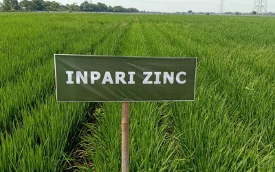 uploads/news/2021/03/inpari-zinc-padi-tahan-132075983a38590_400.jpg