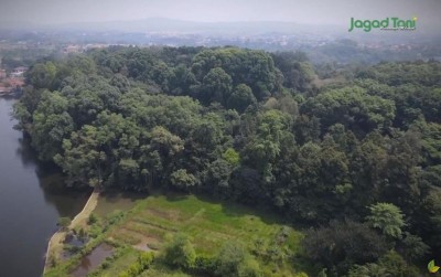uploads/news/2021/03/ketika-pohon-lenyap-dari-920514e715c4f29_400.jpg