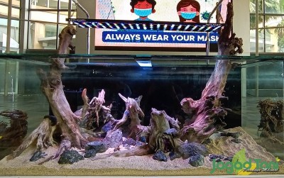 uploads/news/2021/03/mengenal-dan-memelihara-aquascape-209356826294d86_400.jpg
