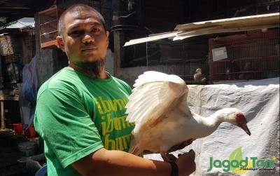 uploads/news/2021/03/mengenal-jenis-jenis-entok-61665fc30daab84_400.jpg