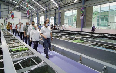 uploads/news/2021/03/momentum-bangkitnya-ikan-hias-54103519df5c93a_400.jpg