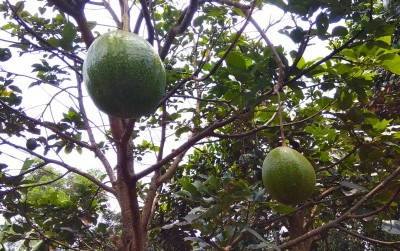 uploads/news/2021/03/pabuaran-pasir-bertumpu-pada-37932c885ac030f_400.jpg