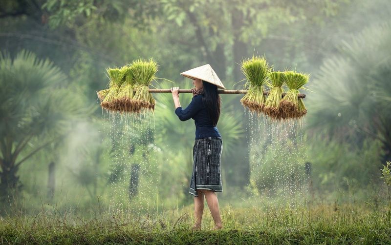 uploads/news/2021/03/potrait-petani-di-hari-60108004a960b06.jpg