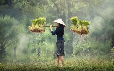 uploads/news/2021/03/potrait-petani-di-hari-60108004a960b06_400.jpg