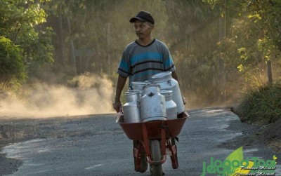 uploads/news/2021/03/sapi-sehat-susu-segar-39928f8117698ee_400.jpg