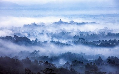 uploads/news/2021/03/semakin-mengecilnya-hutan-pulau-58156f1799bc7f4_400.jpg