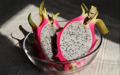 uploads/news/2021/03/tips-jitu-menanam-buah-1683606af78be99_400.jpg