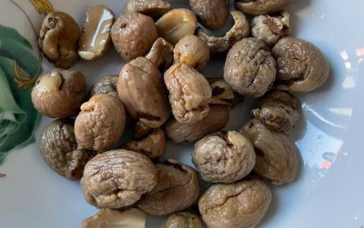 uploads/news/2021/04/coklat-kacang-matoa-untung-80055befd7a6f06_400.jpg