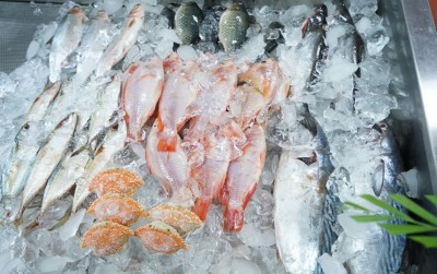 uploads/news/2021/04/cukupi-kebutuhan-protein-selama-86331fa826ced3c_400.jpg