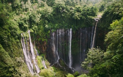 uploads/news/2021/04/jenis-jenis-hutan-di-indonesia-155035ef89bb419_400.jpg