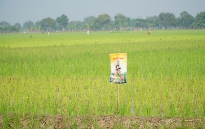uploads/news/2021/04/kementan-tambah-alokasi-pupuk-25498fe07f31f62_400.jpg
