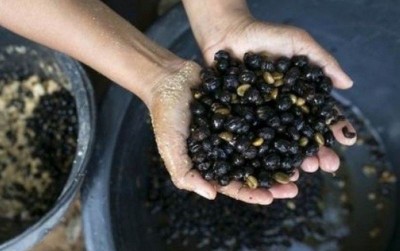 uploads/news/2021/04/kopi-termahal-dari-kotoran-11731e9e201f209_400.jpg