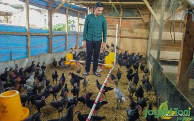 uploads/news/2021/04/menjaga-kualitas-kebersihan-kandang-38164d91f926363_400.jpg