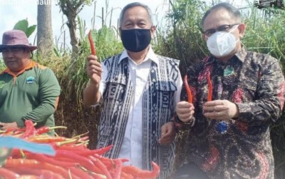 uploads/news/2021/04/stok-cabai-jelang-ramadhan-65694eaf2f5ea11_400.jpg