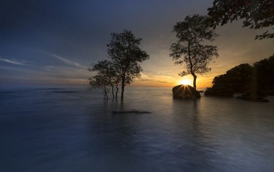 uploads/news/2021/04/surga-mangrove-di-pulau-828121a22b564b5_400.jpg