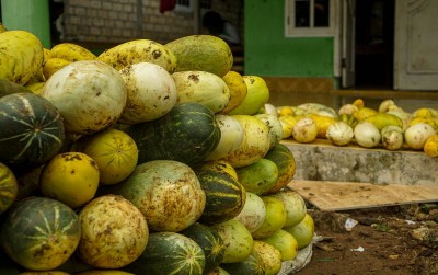 uploads/news/2021/04/timun-suri-unggul-dari-61856ad2a279f9a_400.jpg