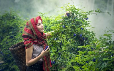 uploads/news/2021/04/turunnya-minat-profesi-petani-44706f73659e819_400.jpg
