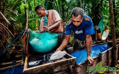 uploads/news/2021/05/bangkitkan-generasi-petani-milenial-71142ac683b0141_400.jpg