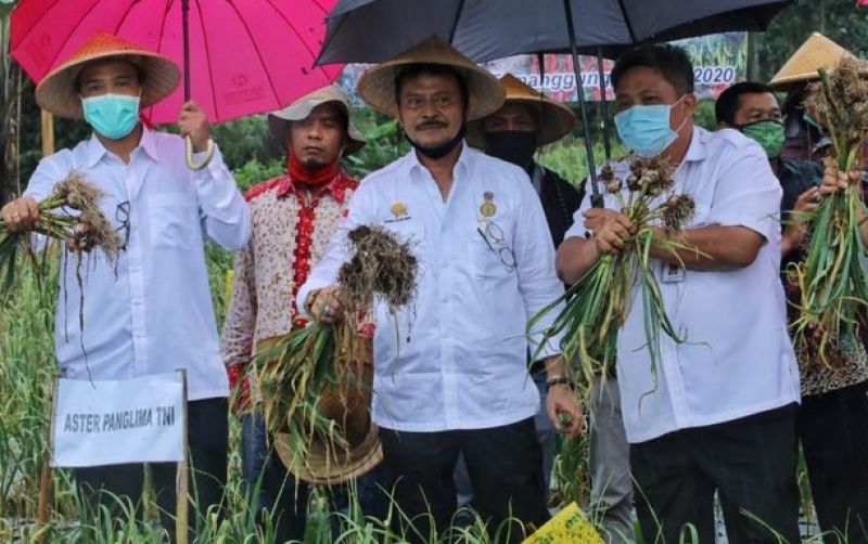 uploads/news/2021/05/bawang-putih-meroket-di-84832a0571ed34f.jpeg