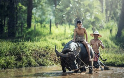uploads/news/2021/05/hari-buruh-dimata-petani-14975af77f55660_400.jpg