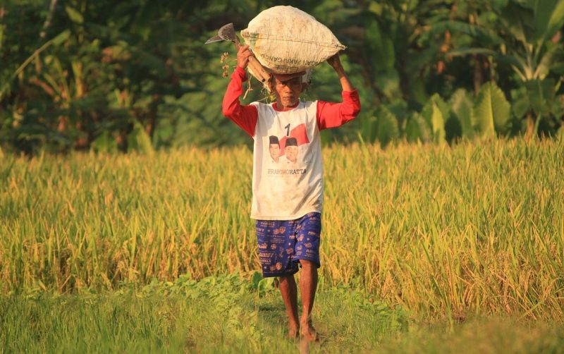 uploads/news/2021/05/memahami-masalah-petani-indonesia-66007b034185e8f.jpg